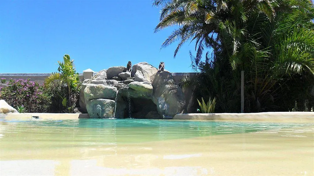Afro Chic Guest House Cape Town